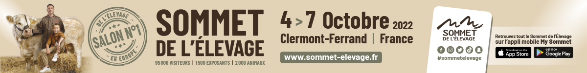 banner banner